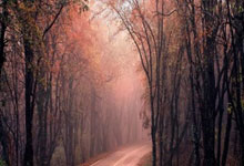 肯德基优惠活动低至4折起