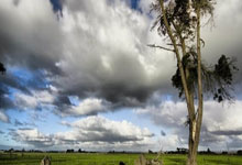 重庆市渝中、大渡口、江北、沙坪坝、九龙坡、南岸区安装联通宽带活动