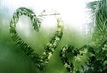 拼多多美团领取红包入口