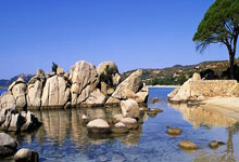 拼多多美团领取红包入口